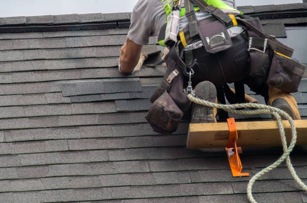 Best Chimney Flashing Repair  in Aberdeen, IN